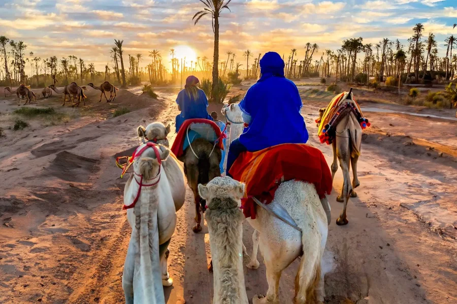 Marrakech Camel Ride