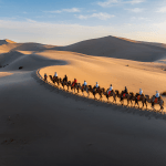 Desert journey during Marrakech desert tour to Sahara landscapes