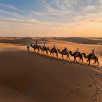 Camel caravan at sunset on a classic Marrakech desert tour in the Erg Chebbi dunes
